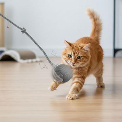 Kép valamiből Tölthető mozgó labda állatoknak