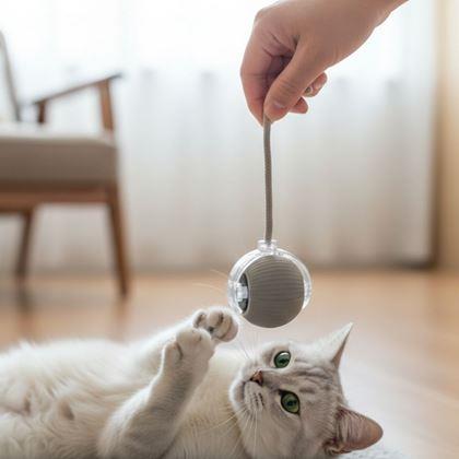 Kép valamiből Tölthető mozgó labda állatoknak