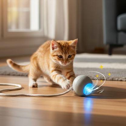 Kép Tölthető mozgó labda állatoknak