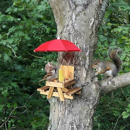 Kép valamiből Fa etető