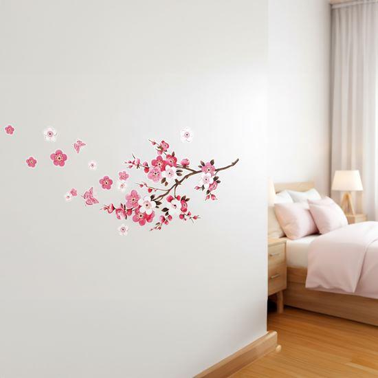 Kép valamiből Falmatrica - Sakura