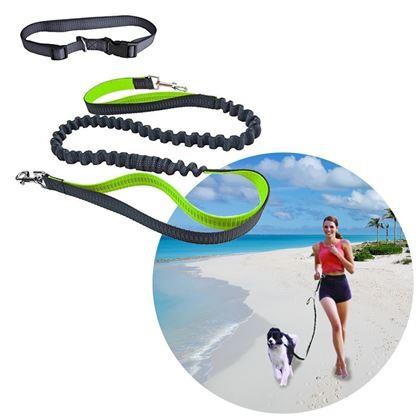 Kép valamiből Többfunkciós futópóráz