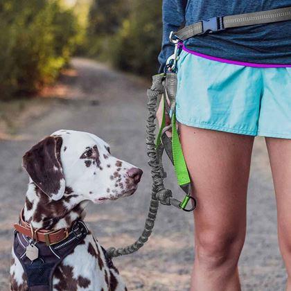 Kép valamiből Többfunkciós futópóráz