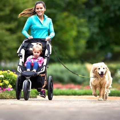 Kép valamiből Többfunkciós futópóráz