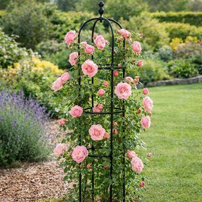 Kép Futtónövény-támasz 140 cm