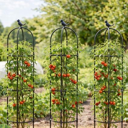 Kép valamiből Futtónövény-támasz 140 cm