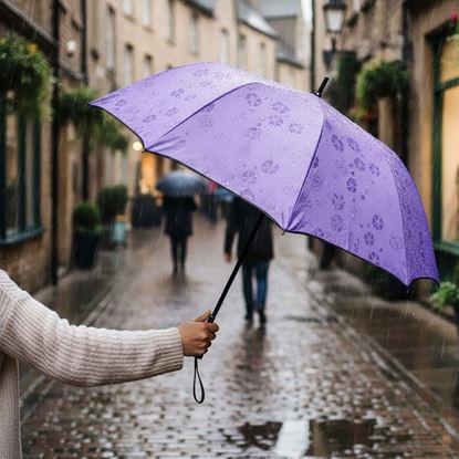 Kép Mágikus esernyő 