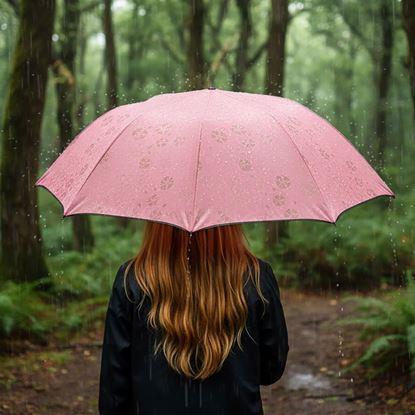 Kép Varázsesernyő összecsukható