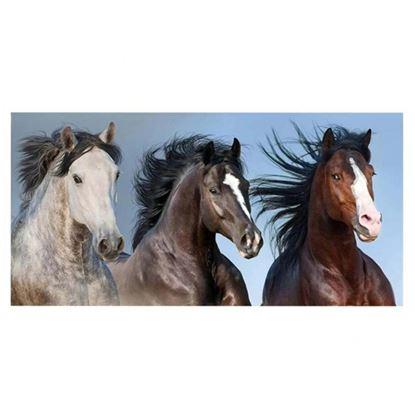 Kép Pamut törölköző vadlovakkal 70x140 cm