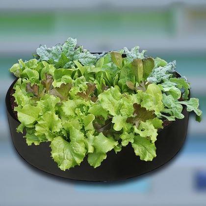 Kép valamiből Textil ágyás 50 l, 60 x 20 cm