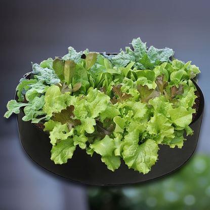 Kép Textil ágyás 50 l, 60 x 20 cm