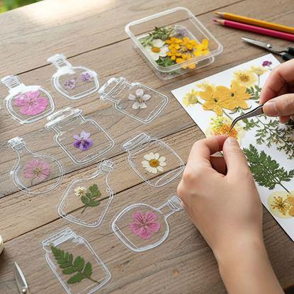 Kép DIY herbárium - szárított virág matricák