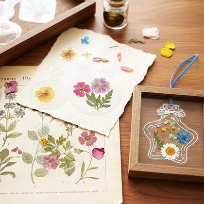 Kép valamiből DIY herbárium - szárított virág matricák