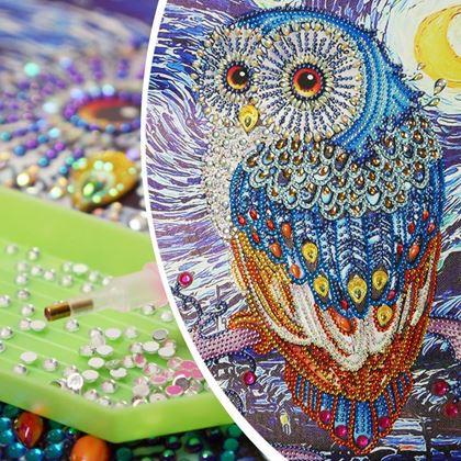 Kép valamiből Diamantové malování speciální - sova