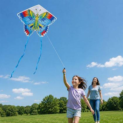 Kép valamiből Repülő sárkány - pillangó
