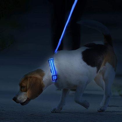 Kép valamiből Világító nyakörv - kék M