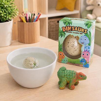 Kép Varázslatos növekvő tojás - dinoszaurusz